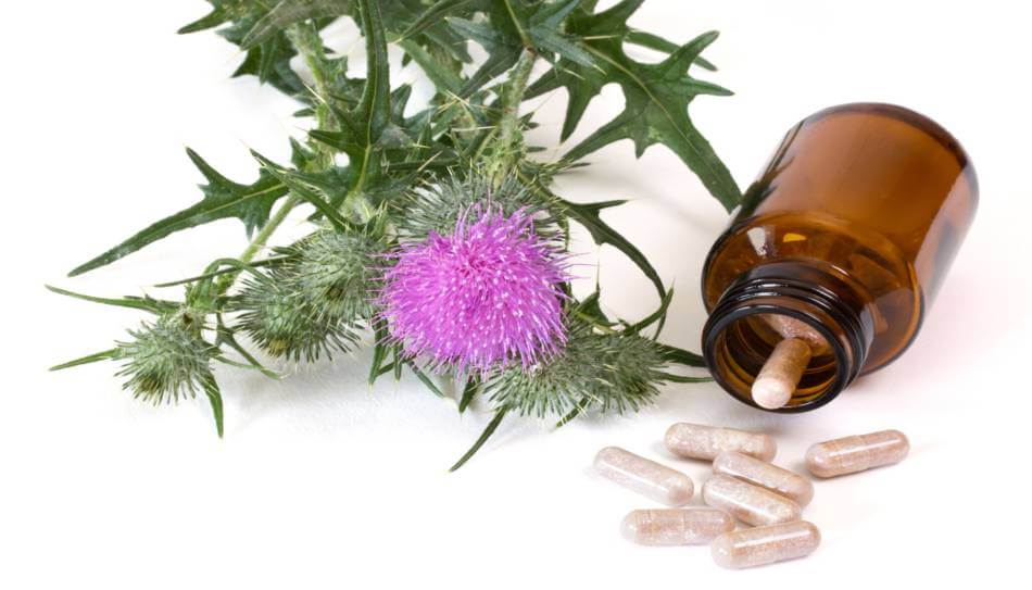 The Power of Milk Thistle Exploring its Health Benefits