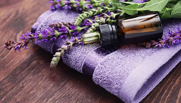 the Benefits of Lavender Essential Oil