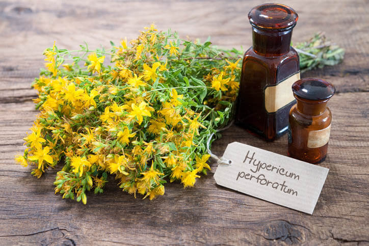 St. John's Wort The Benefits and Risks Explained