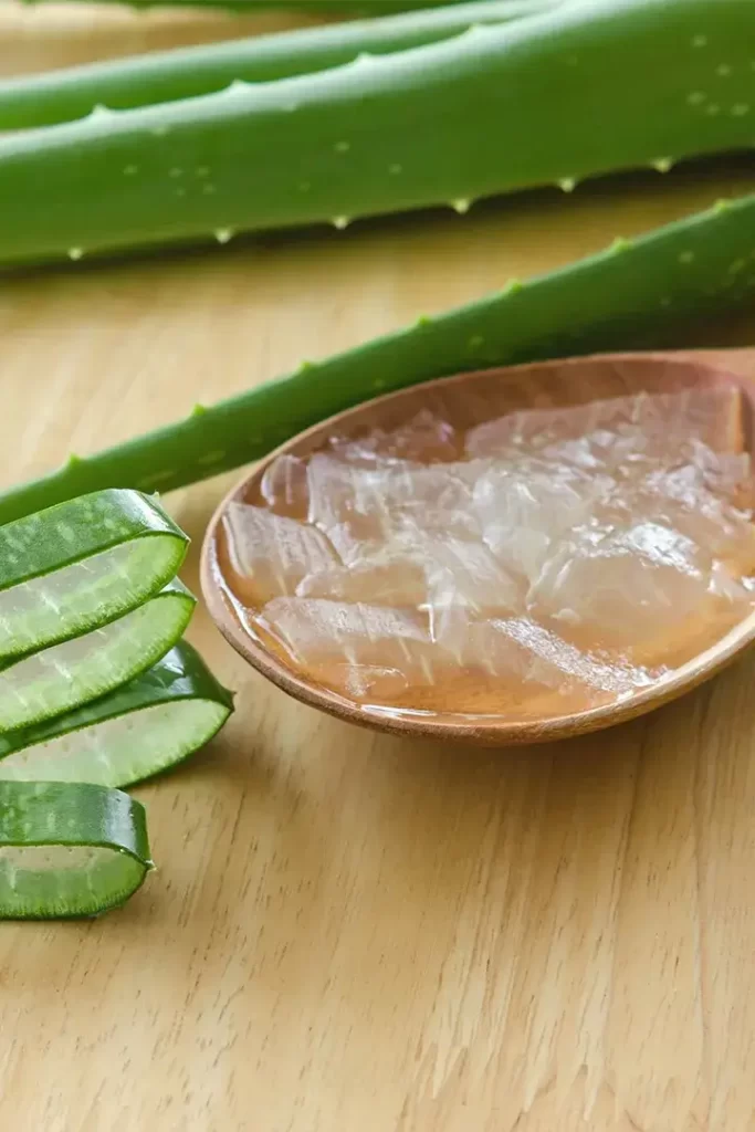 Top Benefits of Aloe Vera for Overall Health and Wellness