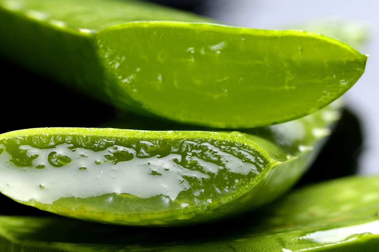 Top Benefits of Aloe Vera for Overall Health and Wellness