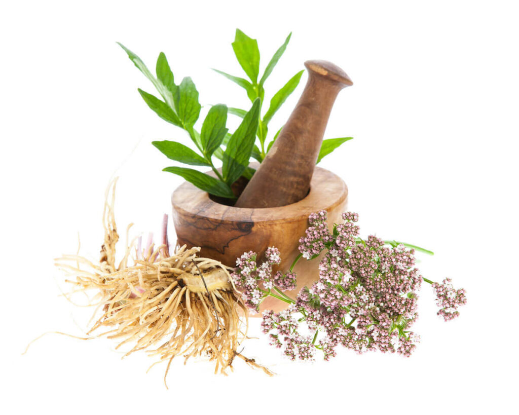 Valerian Root for Sleep: The Benefits and How it Works