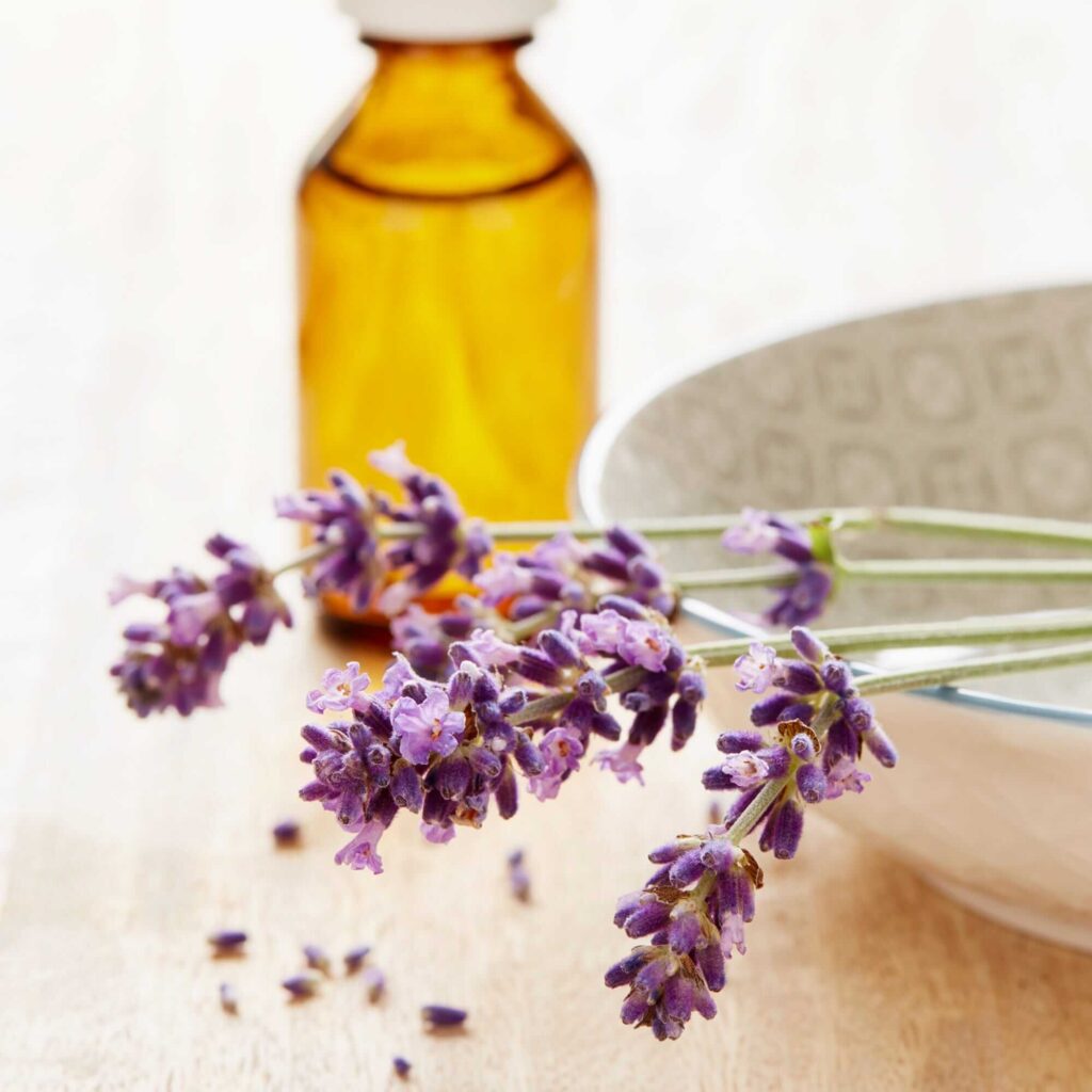 the Benefits of Lavender Essential Oil
