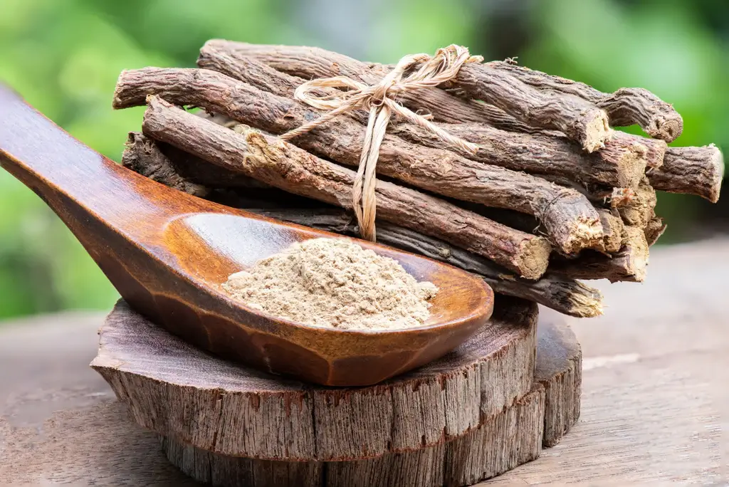 Licorice Root, A Guide to Its Health Benefits, Usage, and Precautions