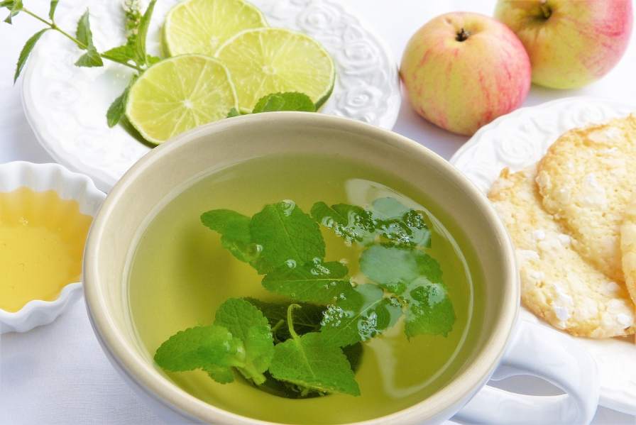 How Lemon Balm tea Boost Your Immune System