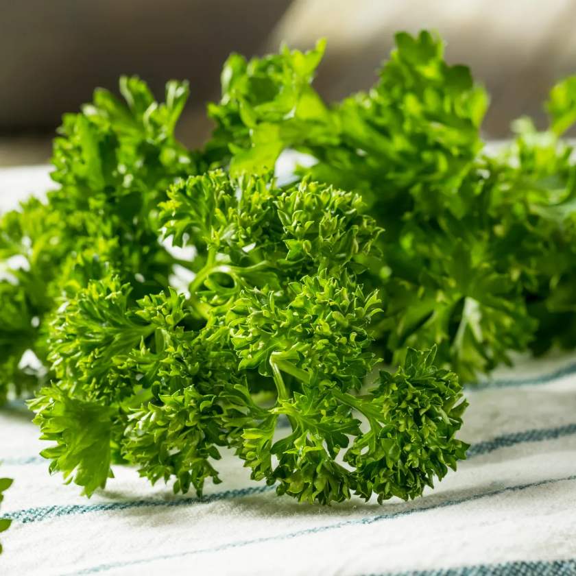 The Surprising Nutritional Value of Parsley