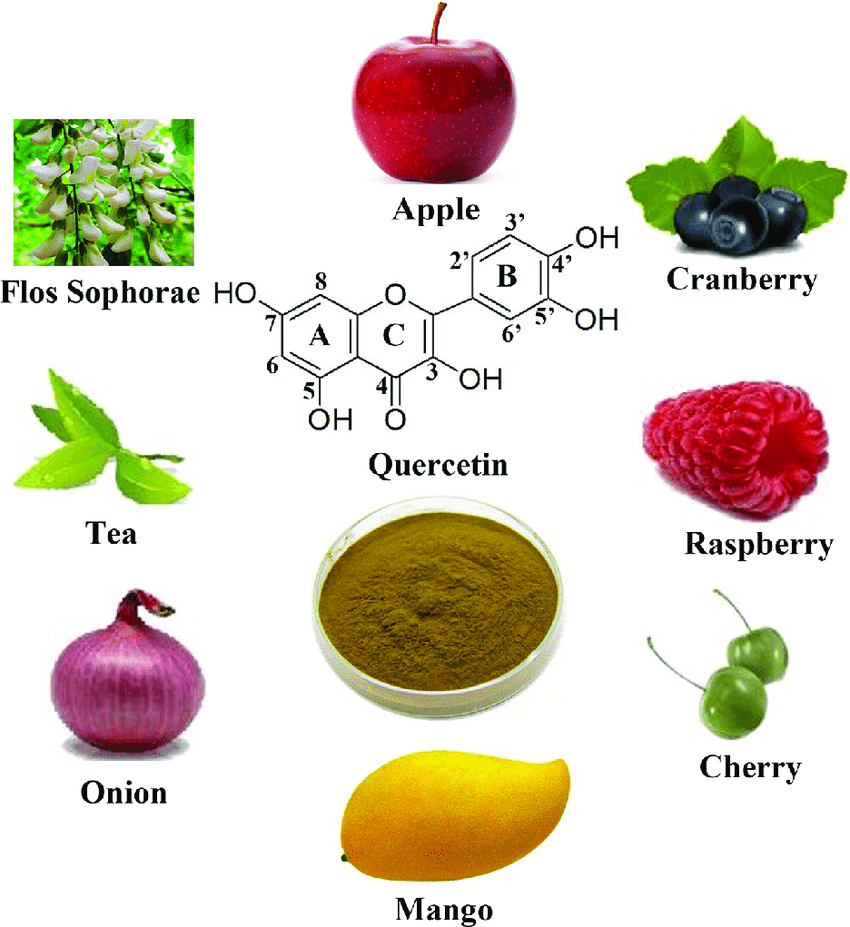  Quercetin and foods that contains lots of it.