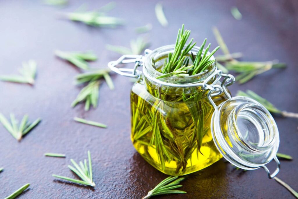The Health Benefits of Rosemary and essential oil uses