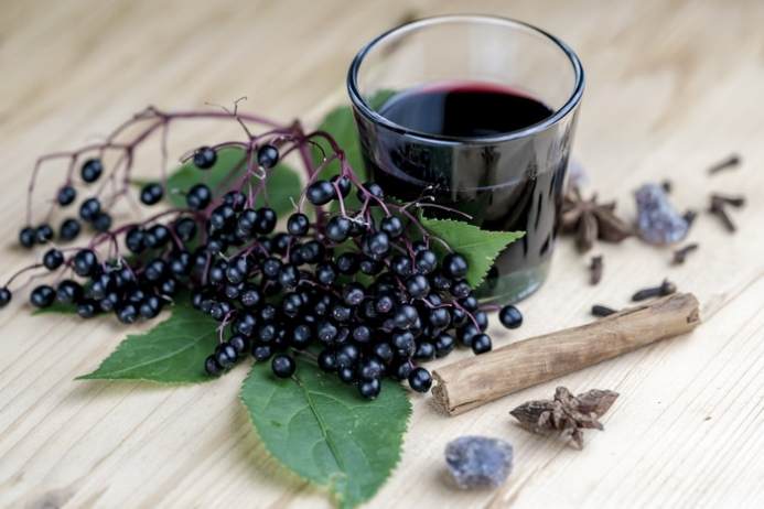 The Healing Properties of Elderberry how to take it