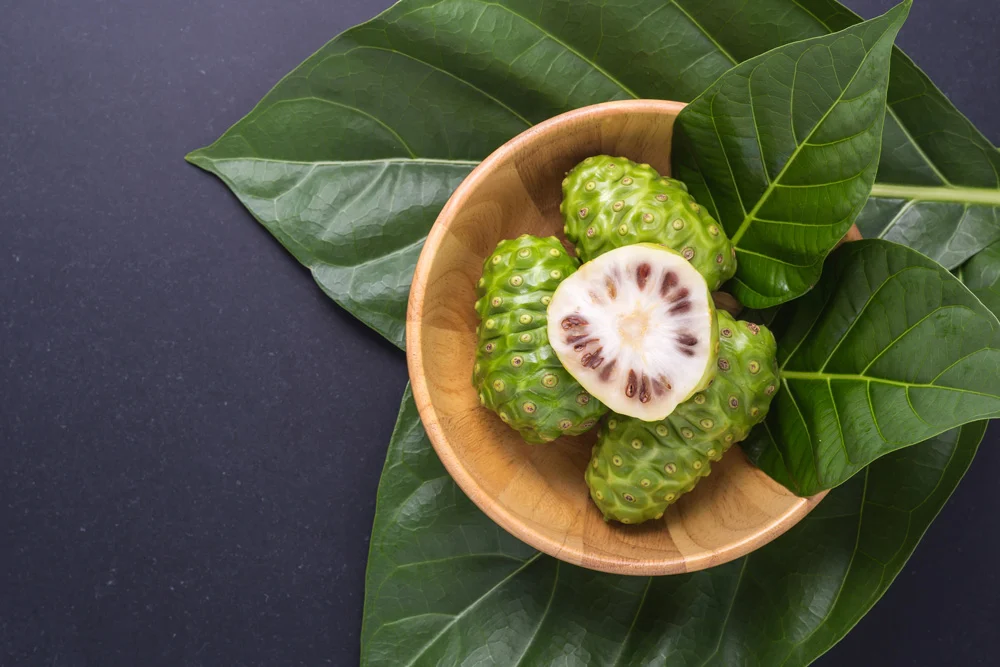 Noni How Ancient Cultures Harnessed This Remarkable Fruit