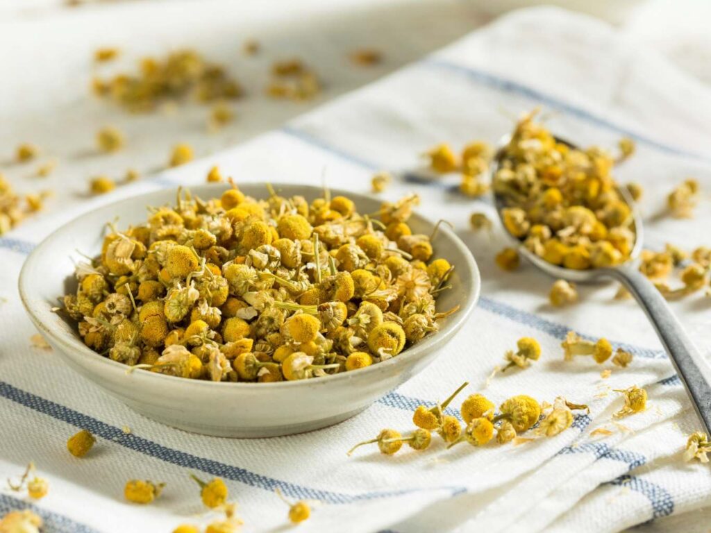 Chamomile: The Herbal Remedy for Seasonal Allergies