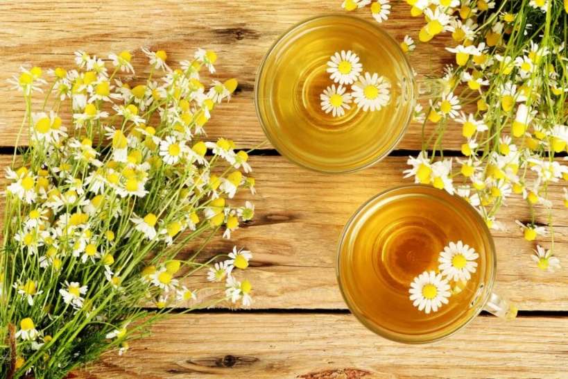 Chamomile how to consume as a tea