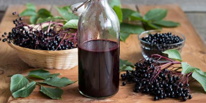 The Healing Properties of Elderberry juice