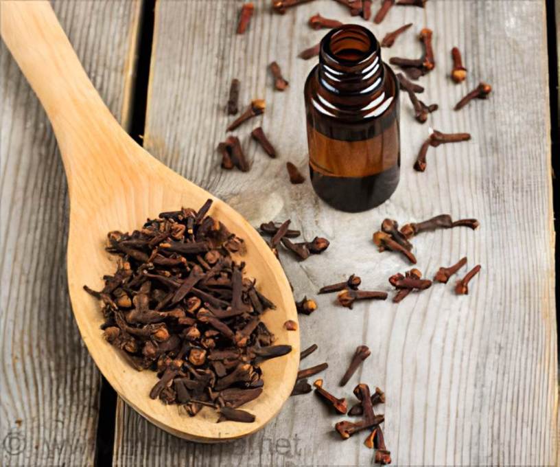 Health Benefits of Cloves oil and how to take it
