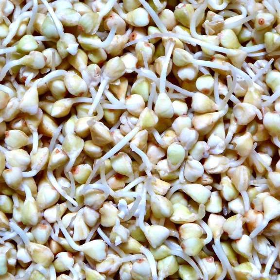 The Health Benefits of Buckwheat