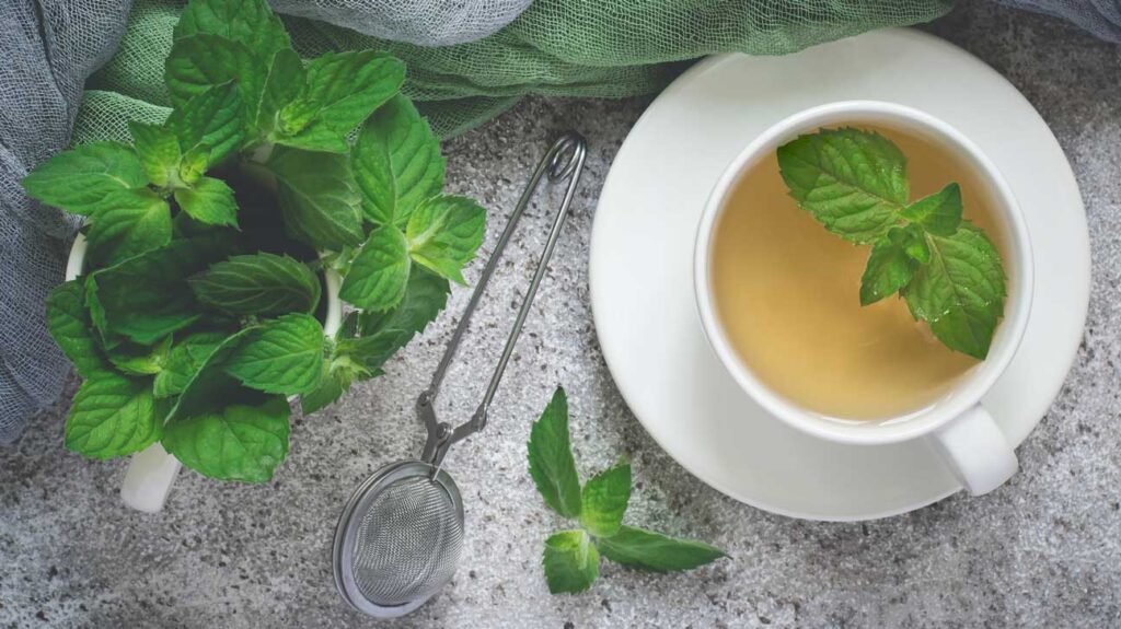 Peppermint for Stress Relief: Understanding the Calming Properties of This Aromatic Herb