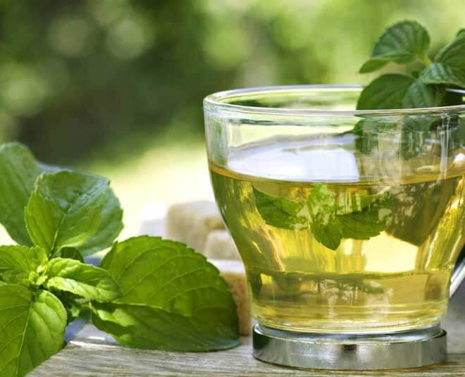 Peppermint for Stress Relief: Understanding the Calming Properties of This Aromatic Herb