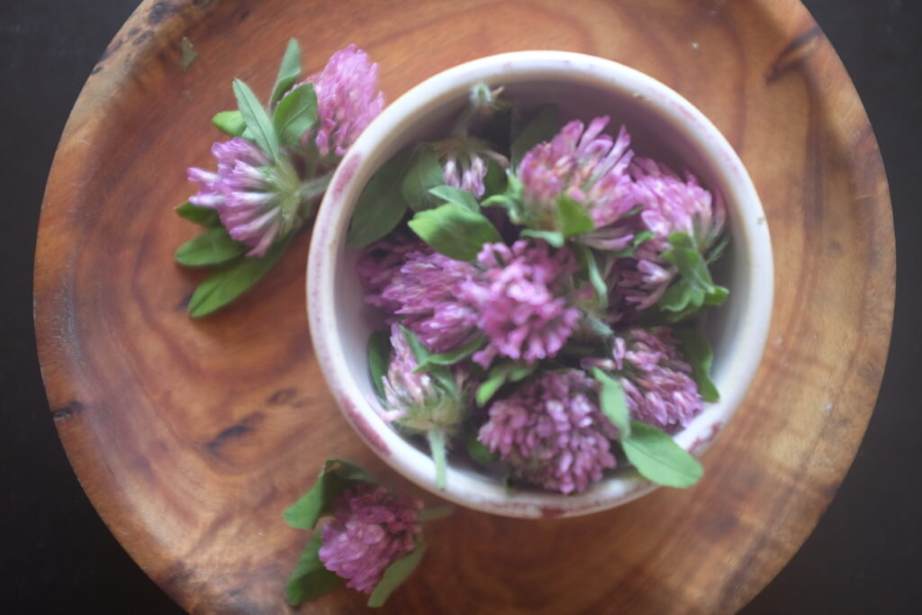 Red clover for Anticancer treatments