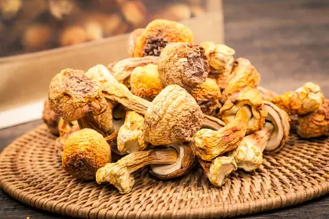Agaricus Blazei The super food for your health