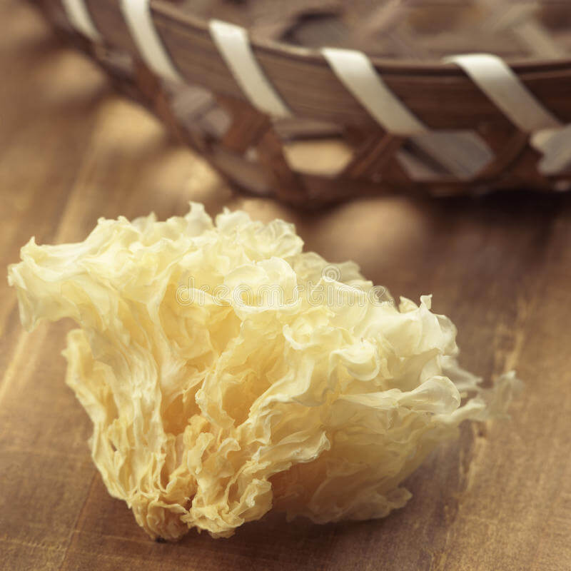 The Benefits of Tremella fuciformis: Boosting Your Health with This Superfood