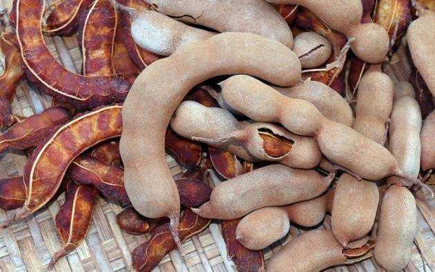 The Health Benefits of Tamarind: A Superfood with Healing Powers