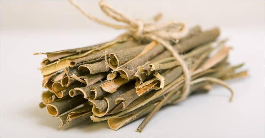 How to Use Willow Bark for Pain Management